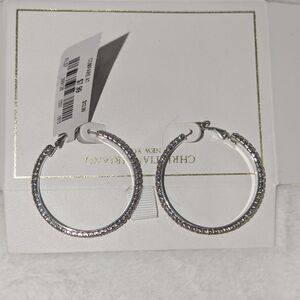 Silver Hoop Earrings